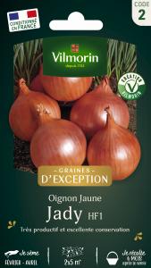 Oignon Jaune Jady HF1 - Graines d'Exception